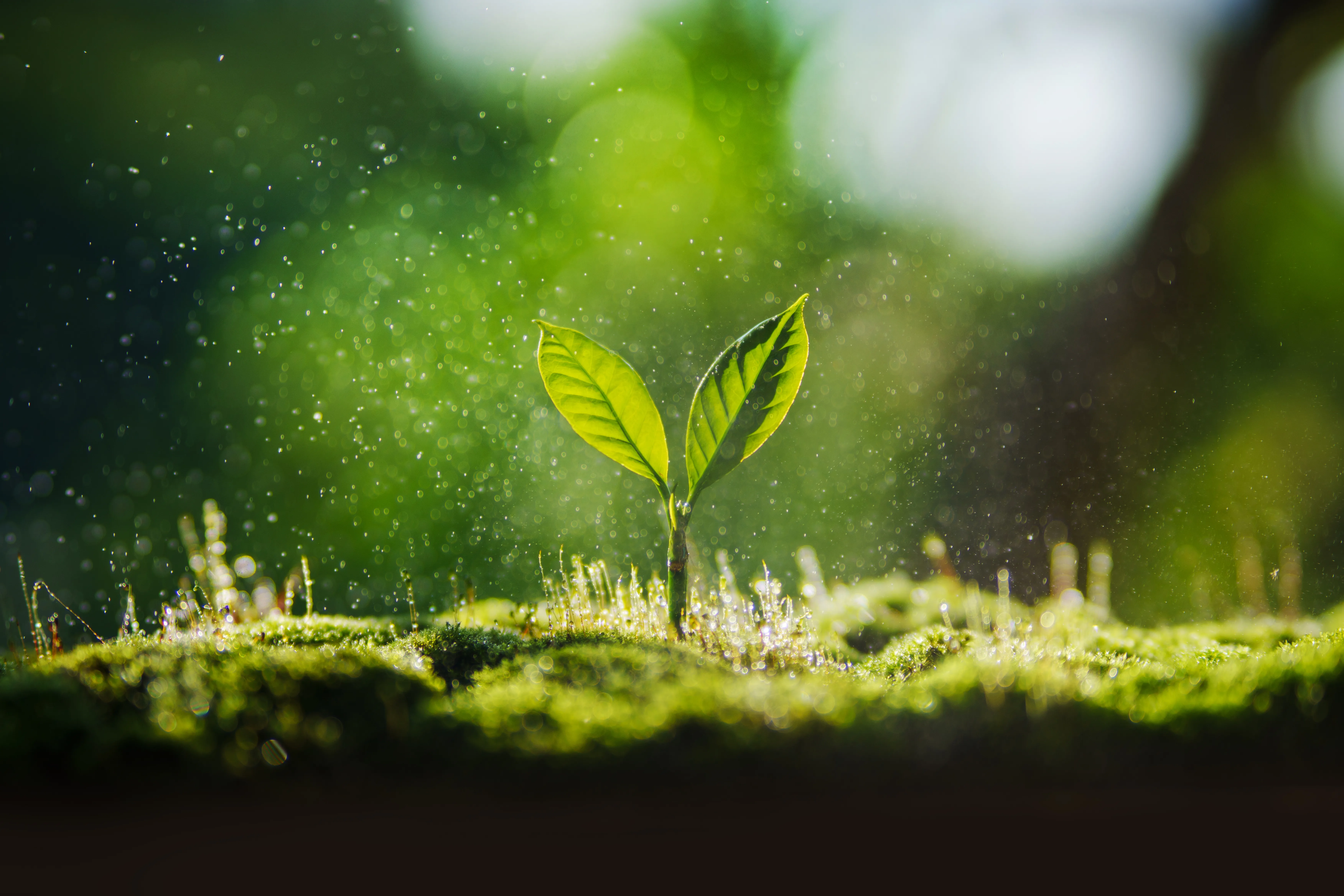 Sustainability